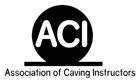 Aci logo